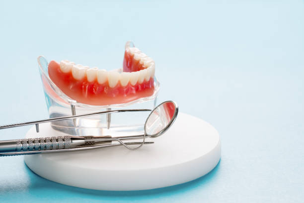 Best Preventive Dentistry  in Paris, TN